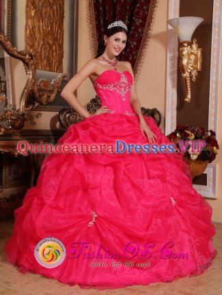 Copper Center Alaska/AK Lovely Custom Made Hot Pink SweetheartQuinceanera Gowns With Appliques and Pick-ups For Sweet 16