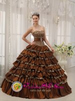 Modest Brown Dillon Colorado/CO Quinceanera Dress In Georgia Sweetheart Taffeta and Leopard or zebra Ruffles Ball Gown