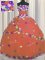Floor Length Rust Red Quince Ball Gowns Tulle Sleeveless Hand Made Flower