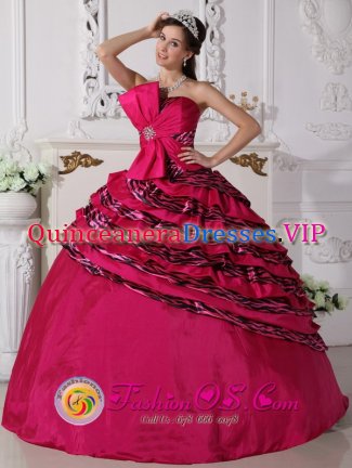 Pflugerville Texas/TX Bowknot Beaded Decorate Zebra and Taffeta Hot Pink Ball Gown For