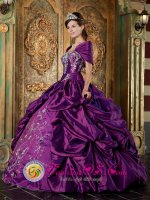 Elegent Short Sleeves and Embroidery For Quinceanera Dress With Purple Pick-ups In La Moure North Dakota/ND