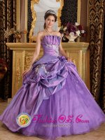 Tiffany & Co Coushatta Louisiana/LA Strapless Taffeta Customize Lavender Appliques Quinceanera Dress With Hand flower and Pick-ups Decorate[QDML077J3BIZ]