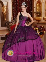 Matanzas Cuba One Shoulder Purple Appliques Bodice For Modest Quinceanera Dress Custom Made