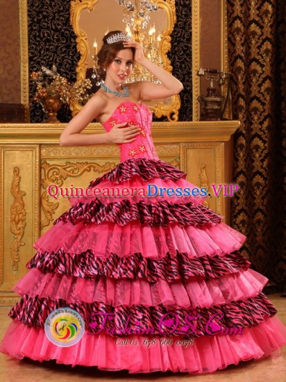 Libertyville Illinois/IL Organza and Zebra Layers Hot Pink Quinceanera Dress With Sweetheart and Beading Decorate Ball Gown - Click Image to Close