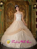 Red River New mexico /NM Hand Made Flower and Appliques Decorate Strapless Bodice Champagne Ball Gown Quinceanera Dress For(SKU QDZY121-CBIZ)