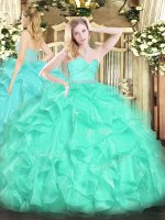 Organza Sleeveless Floor Length Quinceanera Gowns and Beading and Lace and Ruffles(SKU SJQDDT1607002BIZ)