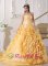 Columbus Ohio/OH Exquisite Gold Quinceanera Dress For Strapless Chapel Train Taffeta and Organza pick-ups Beading Decorate Wasit Ball Gown