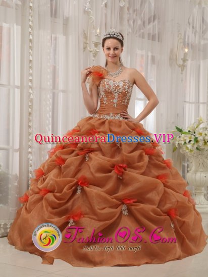 Yankton South Dakota/SD Discount One Shoulder Organza Appliques Decorate Up Bodice Rust Red Quinceanera Dress For Hand Made Flower Decorate - Click Image to Close