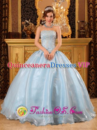 Wheeling Romantic Baby Blue Quinceanera Dress Strapless Organza Exquisite Beading Appliques Ball Gown In Camp Verde AZ　