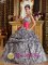 A-line Zebra Sash Sweetheart Ball Gown Quinceanera Dreaaea With Pickups Floor length in Flower Texas/TX