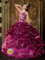 Hudson Ohio/OH Beading Exquisite Burgundy Quinceanera Dress Beaded Decorate Straps Taffeta Ball Gown(SKU QDZY264-FBIZ)
