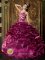 Hudson Ohio/OH Beading Exquisite Burgundy Quinceanera Dress Beaded Decorate Straps Taffeta Ball Gown
