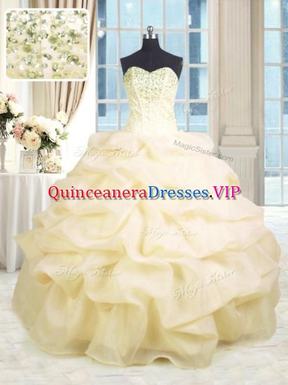 Ball Gowns Sweet 16 Dress Champagne Sweetheart Organza Sleeveless Floor Length Lace Up - Click Image to Close