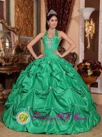 Lake Village Arkansas/AR Exclusive Apple Green Halter Top Pick-ups Sweet 16 Dress With Taffeta Appliques Sweet Ball Gown(SKU QDZY583-JBIZ)