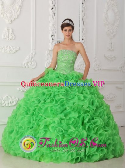 Crawfordsville Indiana/IN Beautiful Rolling Flowers Green Quinceanera Dress For Strapless Organza With Beading Ball Gown - Click Image to Close