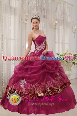 Popular Burgundy Mechernich Quinceanera Dress For Military Ball Sweetheart Organza and Leopard or zebra Appliques Ball Gown