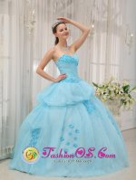 Pembroke Massachusetts/MA Inexpensive Light Blue Sweethear Strapless Floor-length Ruched Bodice Sweet 16 Dress For Quinceanera Gown(SKU QDZY300J4BIZ)