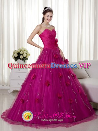 Rapid City South Dakota/SD Remarkable Brush Train and Hand Made Flowers Quinceanera Dress With Fuchsia Sweetheart