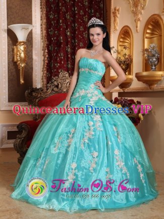 Pohjois-Pohjanmaa Finland Stylish Appliques Quinceanera Dress Strapless Turqoise Organza Ball Gown
