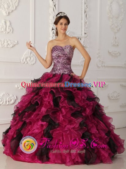 Stylish Multi-color Leopard and Organza Ruffles Tigard Oregon/OR Quinceanera Dress With Sweetheart Neckline - Click Image to Close
