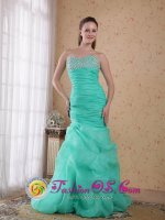 Celebration FL Apple Green Organza Beading and Ruch Column Quinceanera Dama Dress Sweetheart Brush Train(SKU PDHXQ044BIZ)