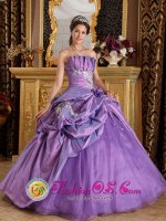 Ellensburg Washington/WA Strapless Taffeta Customize Lavender Appliques Quinceanera Dress With Hand flower and Pick-ups Decorate(SKU QDML077J9BIZ)