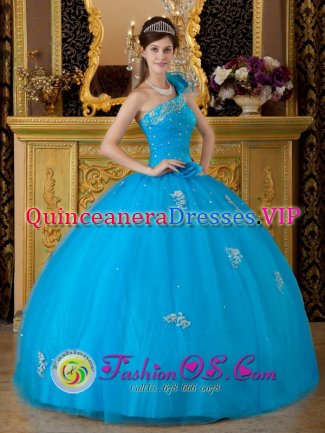 One Shoulder Fabulous Quinceanera Dress For Camp Verde AZ Teal Tulle Appliques Ball Gown