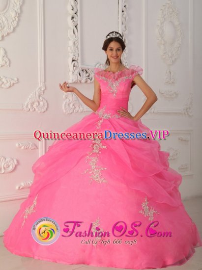 Hayden Lake Idaho/ID For Prescott Valley V-neck Taffeta and Organza Appliques With Beading Decorate Bodice Latest Rose Pink Quinceanera Dress - Click Image to Close