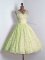 Yellow Green V-neck Lace Up Lace Quinceanera Court of Honor Dress Sleeveless