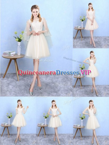 Fantastic Champagne Tulle Lace Up Court Dresses for Sweet 16 Cap Sleeves Knee Length Lace - Click Image to Close
