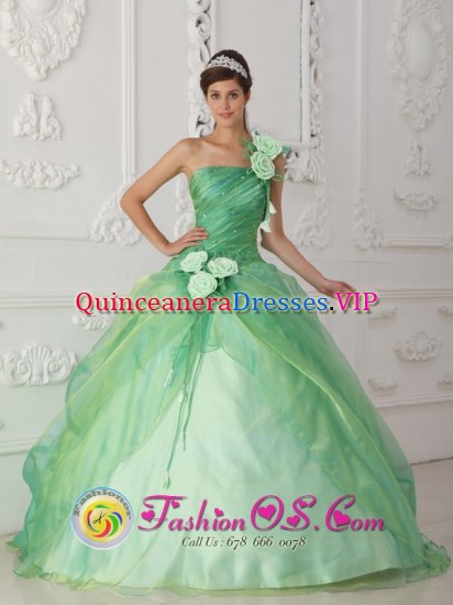 One Shoulder Hand Made Flowers Decorate and Waist Apple Green Organza In Wayne Oklahoma/OK - Click Image to Close