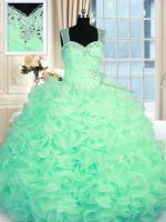 Modest Apple Green Organza Zipper Juniors Party Dress Sleeveless Floor Length Beading and Ruffles(SKU PSSW0248-1BIZ)