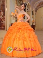 East Chicago Indiana/IN Appliques and Pick-ups For Orange Quinceanera Dress With Taffeta and Organza(SKU QDZY350J1BIZ)