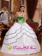 Council Bluffs Iowa/IA Spring Green and White For Stylish Quinceanera Dress Strapless Organza Embroidery(SKU QDZY536-HBIZ)