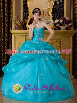 White Bear Lake Minnesota/MN Appliques Decorate Sweetheart Bodice Teal Quinceanera Dress For Hand Made Flower and Pick-ups