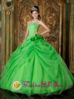 Spring Green Hand Made Flowers Appliques Decorate Fabulous Quinceanera Dress With Floor-length Organza In Brits South Africa(SKU QDZY196y-4BIZ)