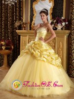 Red Wing Minnesota/MN Custom Made Modest Beaded Decorate Yellow Quinceanera Dress With Hand Made Flowers And Pick-ups(SKU QDZY214-DBIZ)