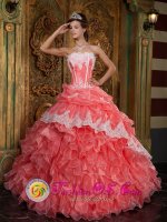 Fabulous Waltermelon Garbsen Germany New Style Arrival Strapless Ruffles Quinceanera Dress with Appliques Decorate