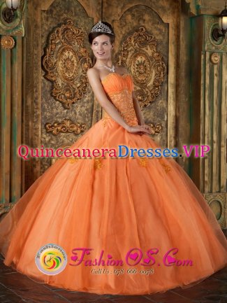 Long Ashton Avon Gorgeous Orange Quinceanera Dress In New York Sweetheart Appliques Floor-length Organza Ball Gown