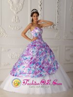Seguin Texas/TX Elegent A line Printing and Tulle Vintage Multi-color Quinceanera Dress For Sweetheart Appliques