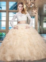 Stylish Scoop Long Sleeves Zipper Quinceanera Gowns Champagne Organza(SKU SXQD015-2BIZ)