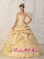 A-Line Princess Champagne Pick-ups Beading and Hand Made Flowers Aurora Oregon/OR Strapless Quinceanera Dress