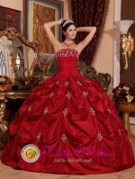 Le Plessis-Robinson France Customize Pick-ups and Appliques Wine Red Strapless Taffeta Quinceanera Dress