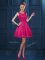 Hot Pink A-line Tulle Scoop Sleeveless Lace and Ruffled Layers Knee Length Zipper Dama Dress for Quinceanera