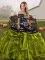 Popular Off The Shoulder Sleeveless Lace Up Quinceanera Gowns Olive Green Organza