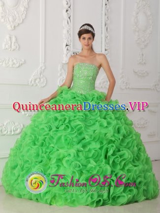 Dieppe France Beautiful Rolling Flowers Green Quinceanera Dress For Strapless Organza With Beading Ball Gown