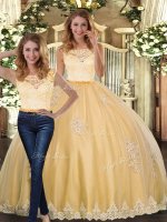 Gold Clasp Handle Scoop Lace and Appliques Sweet 16 Quinceanera Dress Tulle Sleeveless