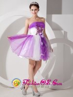 Lihue Hawaii/HI Purple and White A-line Strapless Mini-length Organza Hand Made Flowers Quinceanera Dama Dress