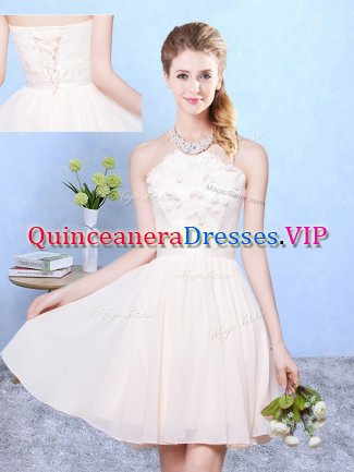 Sweet Sleeveless Chiffon Knee Length Lace Up Quinceanera Court of Honor Dress in Baby Pink with Lace