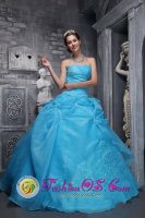 Strapless Appliques Decorate Baby Blue Binghamton New York/NY Beautiful Quinceanera Dresses